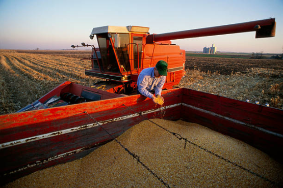 «Дон Мар» на агровыставке KazAgro 2025