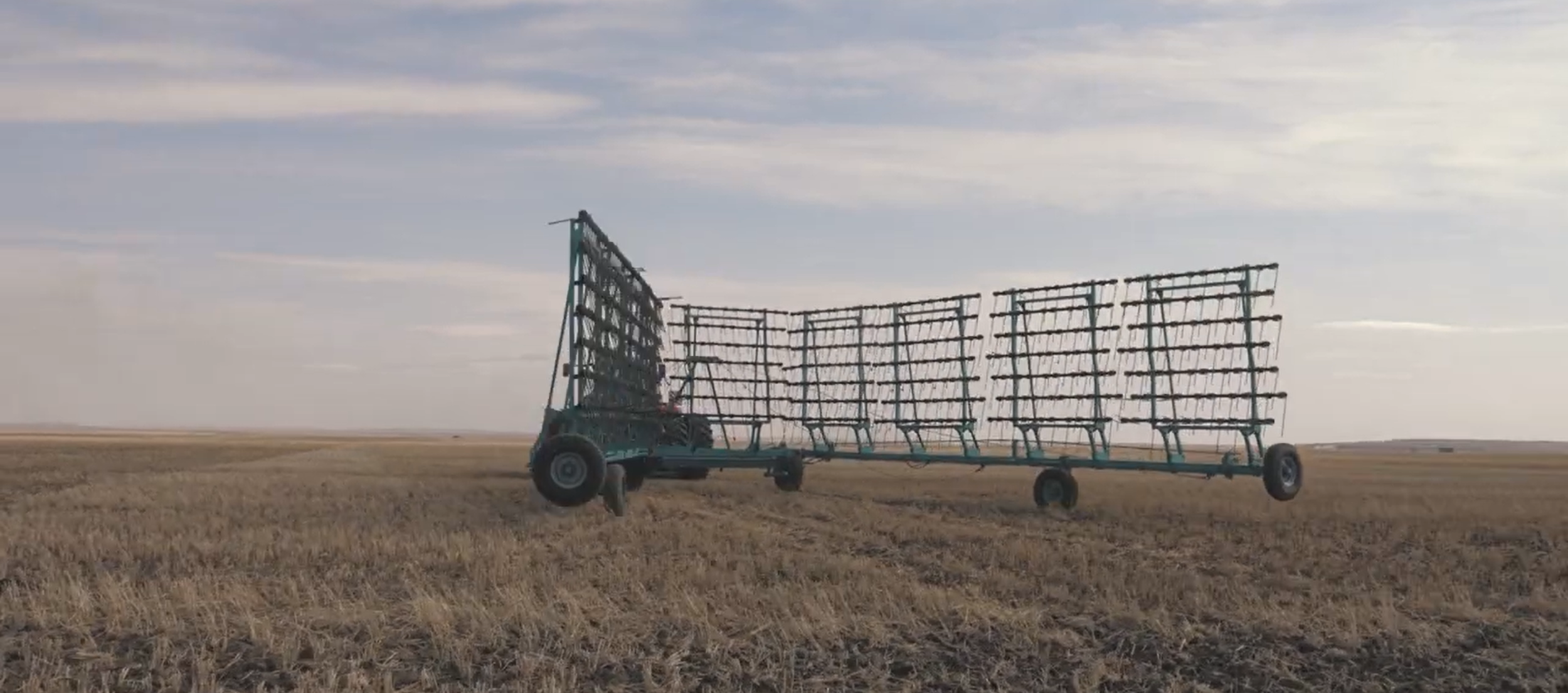 Тісті тырма