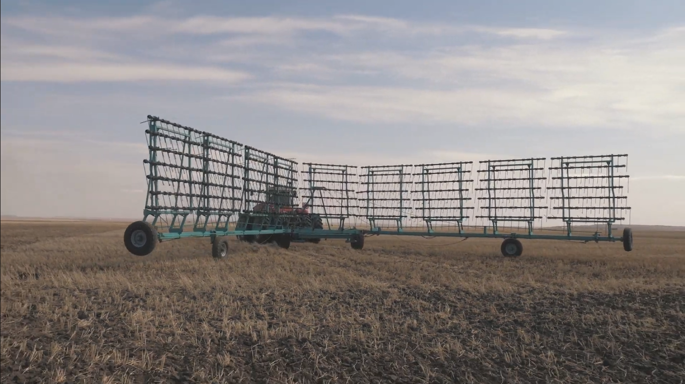 Тісті тырма